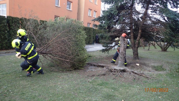 vitr2stromyDolniLutyne (KI) (2).jpg