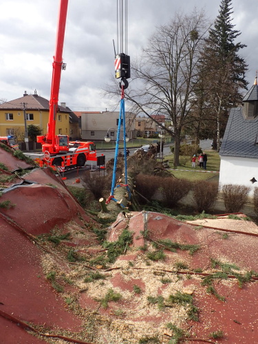 vitrRDstromNoveSedlice (3).JPG