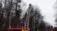 vitrmodrinBelskylesOV (9)