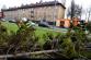 vitrplechystrom2xGajdosovaOstrava (9)