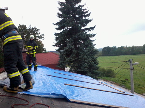 vitrstrechaDoubrava (KI) (1).jpg