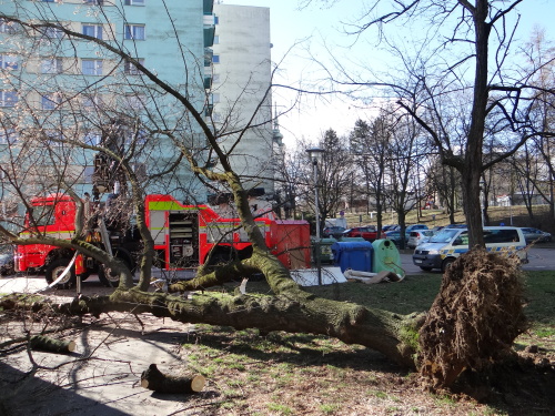vitrstromMH_Ostrava (7).JPG