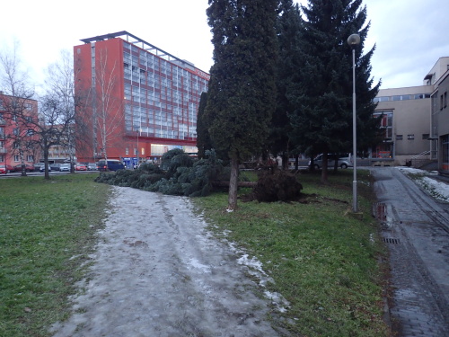 vitrzasahyTrinecko (1).JPG