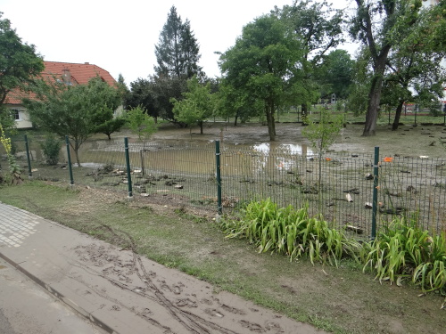vodacerpaniTrebom (18).JPG