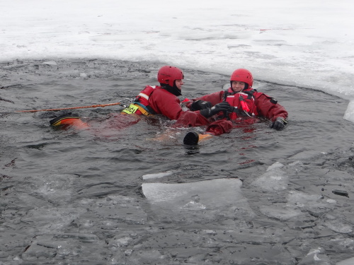 vodaledvycvikOVsterkovnaHlucin (8).JPG