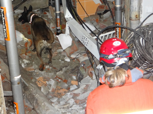 vybuchvilapatraniSenovuNJ_I (11).JPG