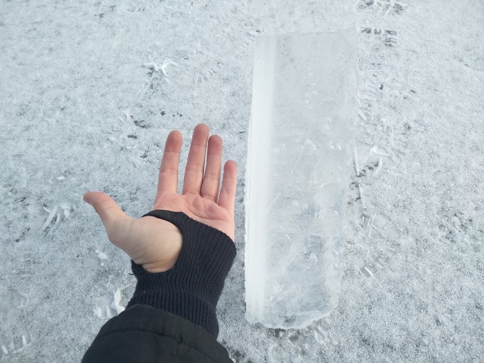 vycvikledVitkov (2).jpg