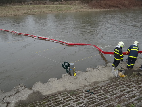 vycviknornastenaOdra_Ostrava (29).JPG