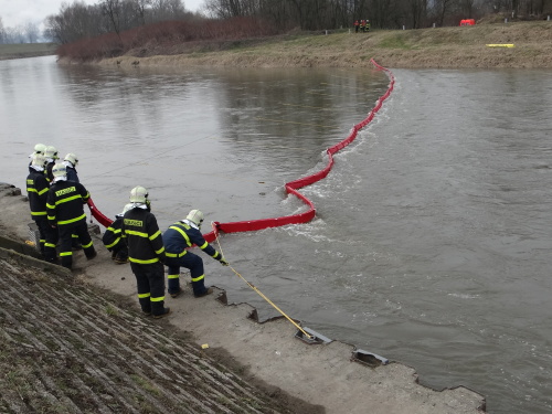 vycviknornastenaOdra_Ostrava (30).JPG