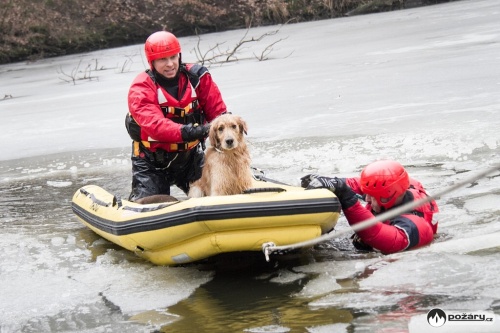 zacchranaretrivrrybnikOlbramice (OV) (12).jpg