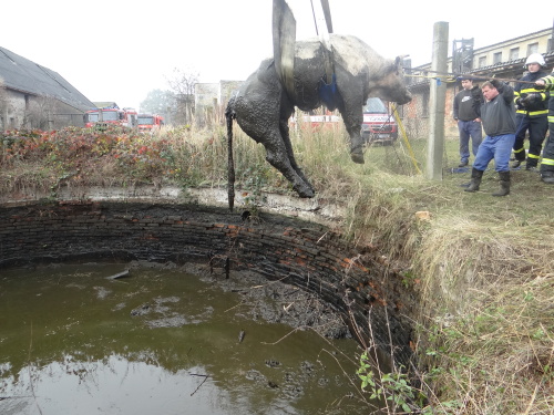 zachranabykmocuvkaVrazne (NJ) I (20).JPG