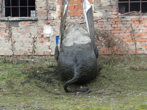 zachranabykmocuvkaVrazne (NJ) I (23).JPG