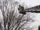 zachranahavranstromsilonHavirov (4)