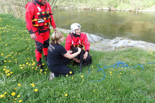 zachranajezBarMoravice (BR) (1).JPG