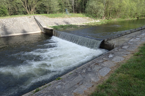 zachranajezBarMoravice (BR) (5).JPG