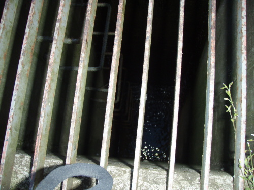 zachranakachnickyrybnikRymarov (BR) (1).JPG