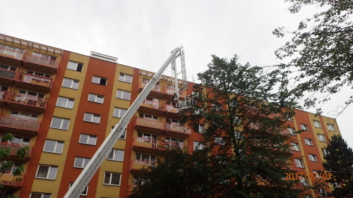 zachranakorelastromOrlova (1).JPG