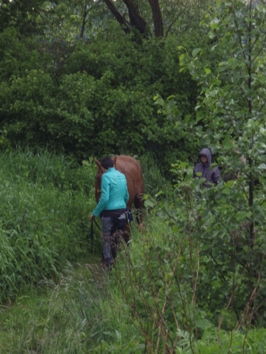 zachranakunProskovice_stojici (4).JPG