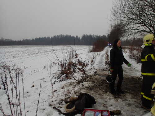 zachranakunasfaltStonava (KI) (11).JPG