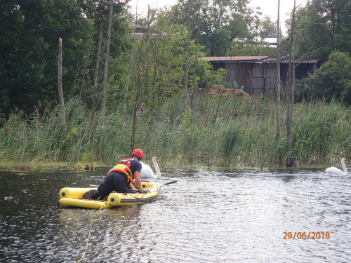 zachranalabutDoubrava (3).jpg