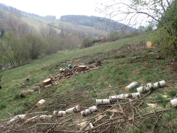 zachranalesHermanovice (8).JPG