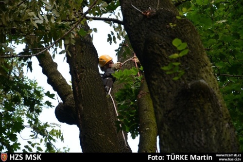 zachranamuzstromDobroslavice (OP) (1).jpg