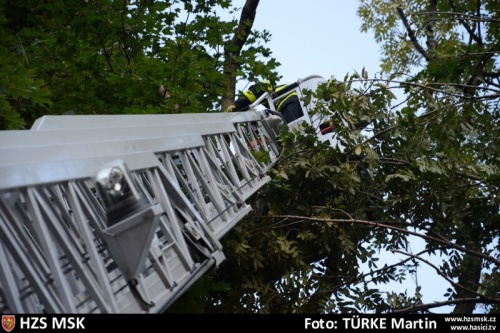 zachranamuzstromDobroslavice (OP) (7).jpg