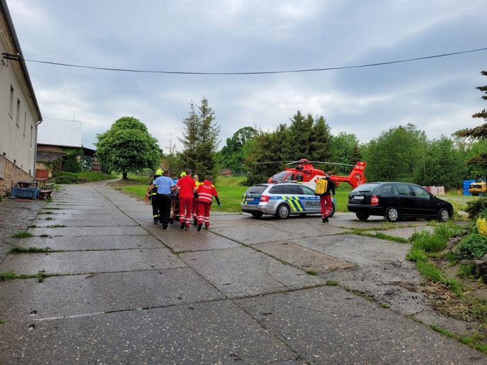 zachranarukalisSosnova (4).jpg