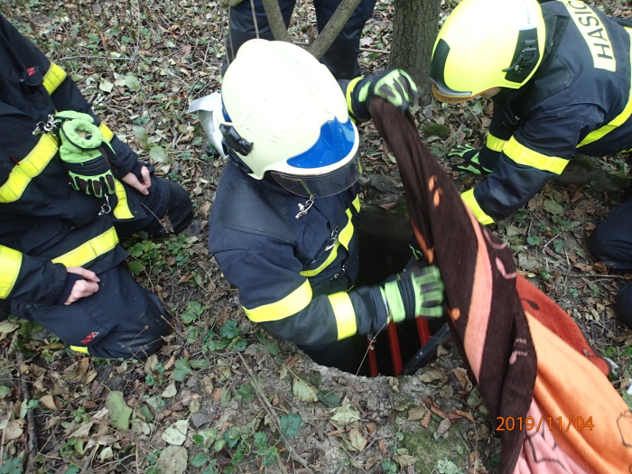 zachranasrnkasachticeHavirov (4).JPG