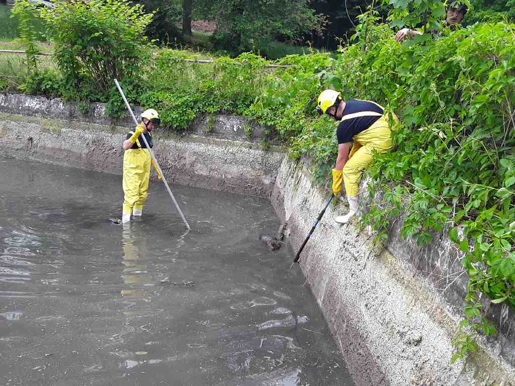 zachrany zvirat v Olomouckem kraji 26-28.5.2022