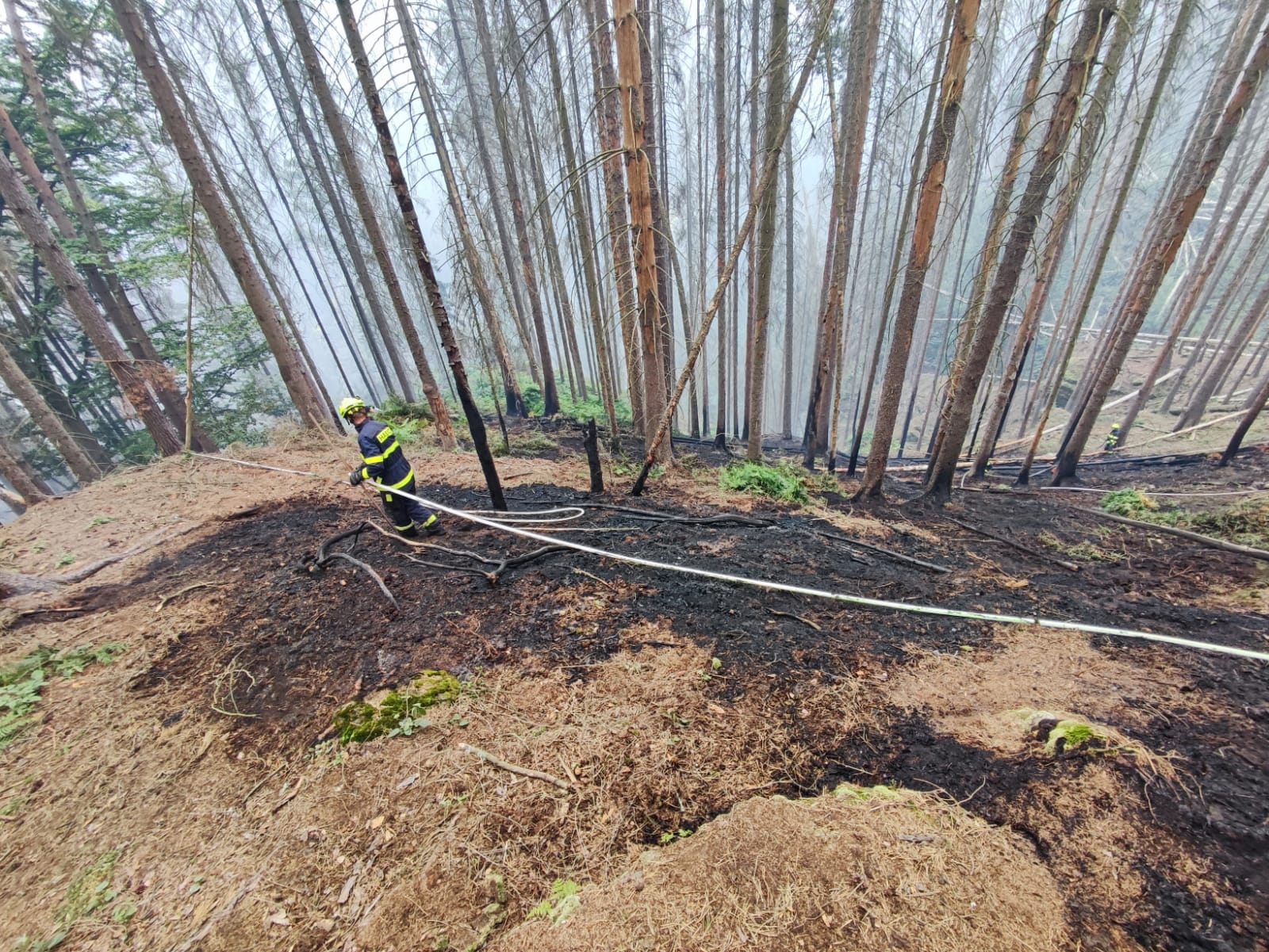 zásah v národním parku9.jpg