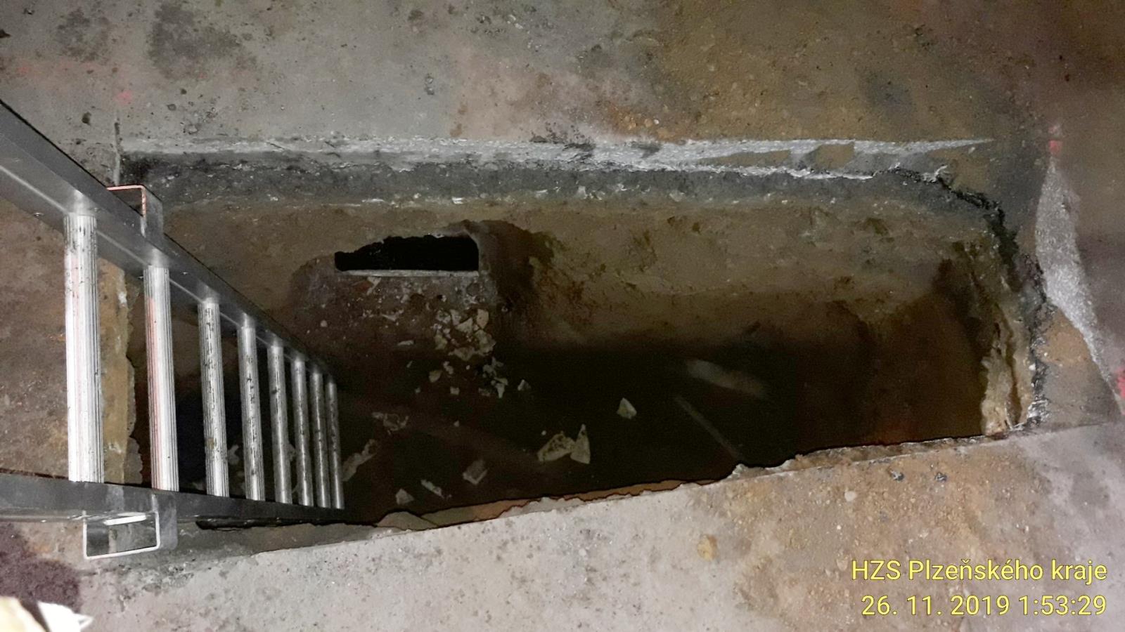 25_11_2019 Pes v kanálu Mokrosuky (1).jpg