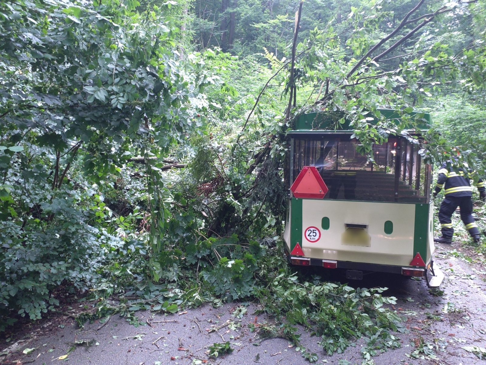 2025-08-03 pád stromu na vlak, Blansko