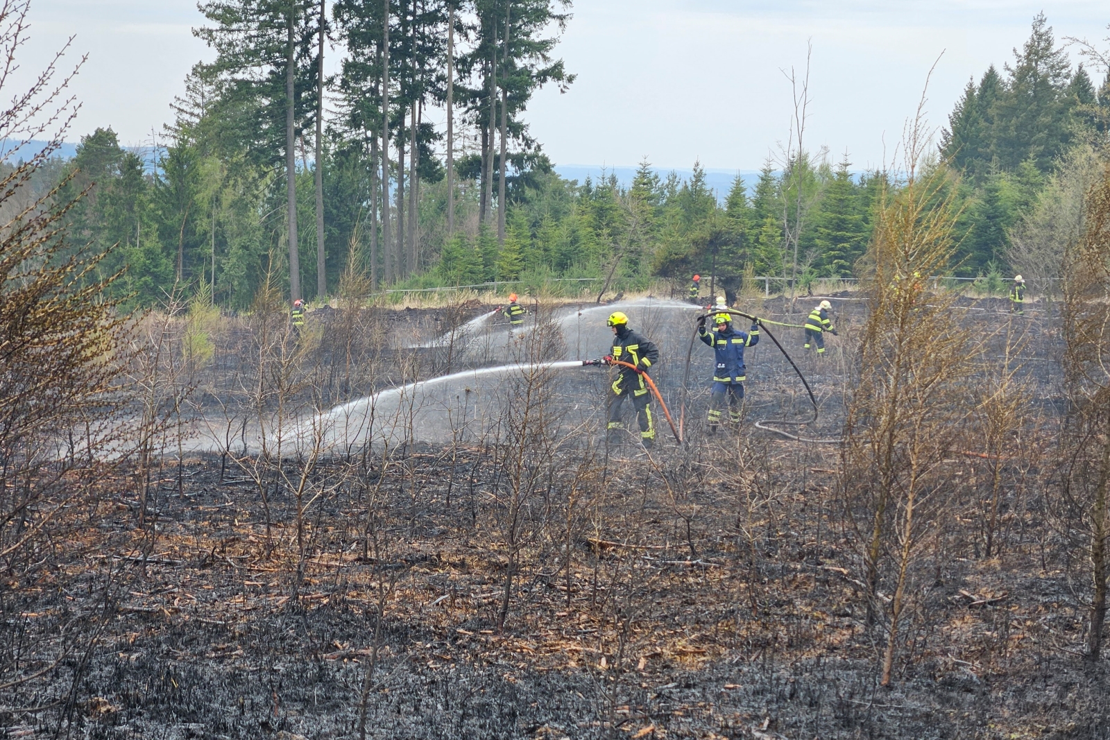 2026-04-12 P lesa, Doubravice nad Svitavou