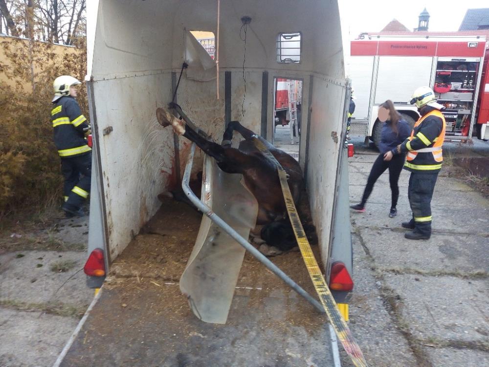 18.2.2016 záchrana koně Stod.jpg