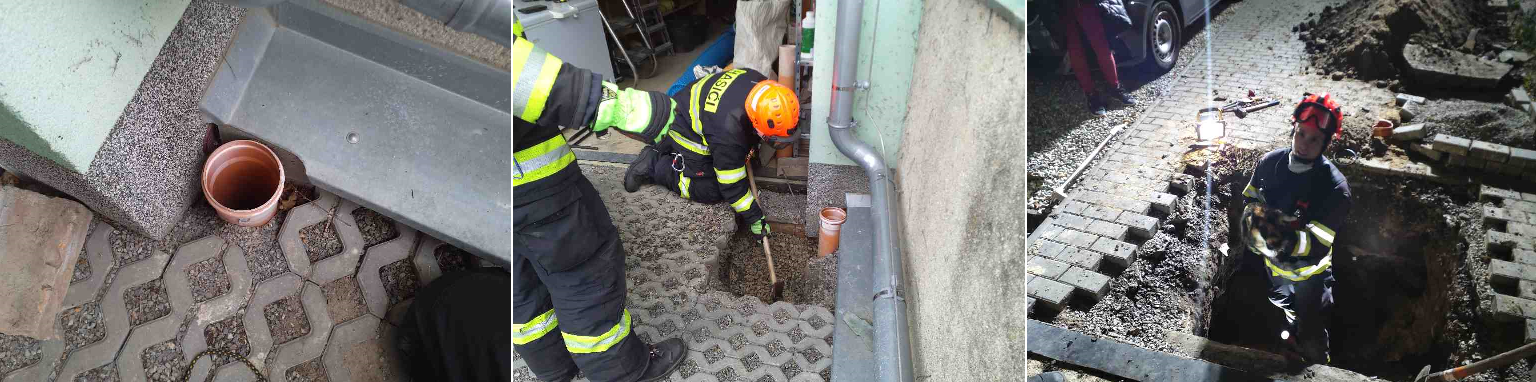 JMK_záchrana kočičky krok po kroku.png