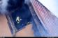 pozar_chaty_Senov_OV_5