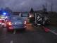 16-11-28 Lupenice (1)