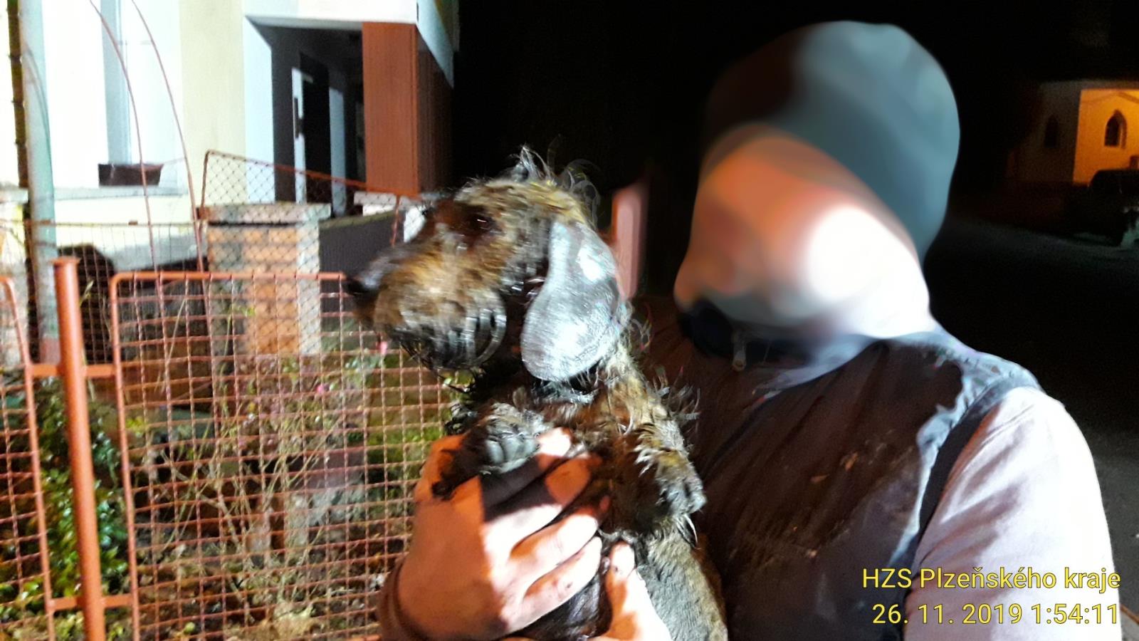 25_11_2019 Pes v kanálu Mokrosuky (2).jpg