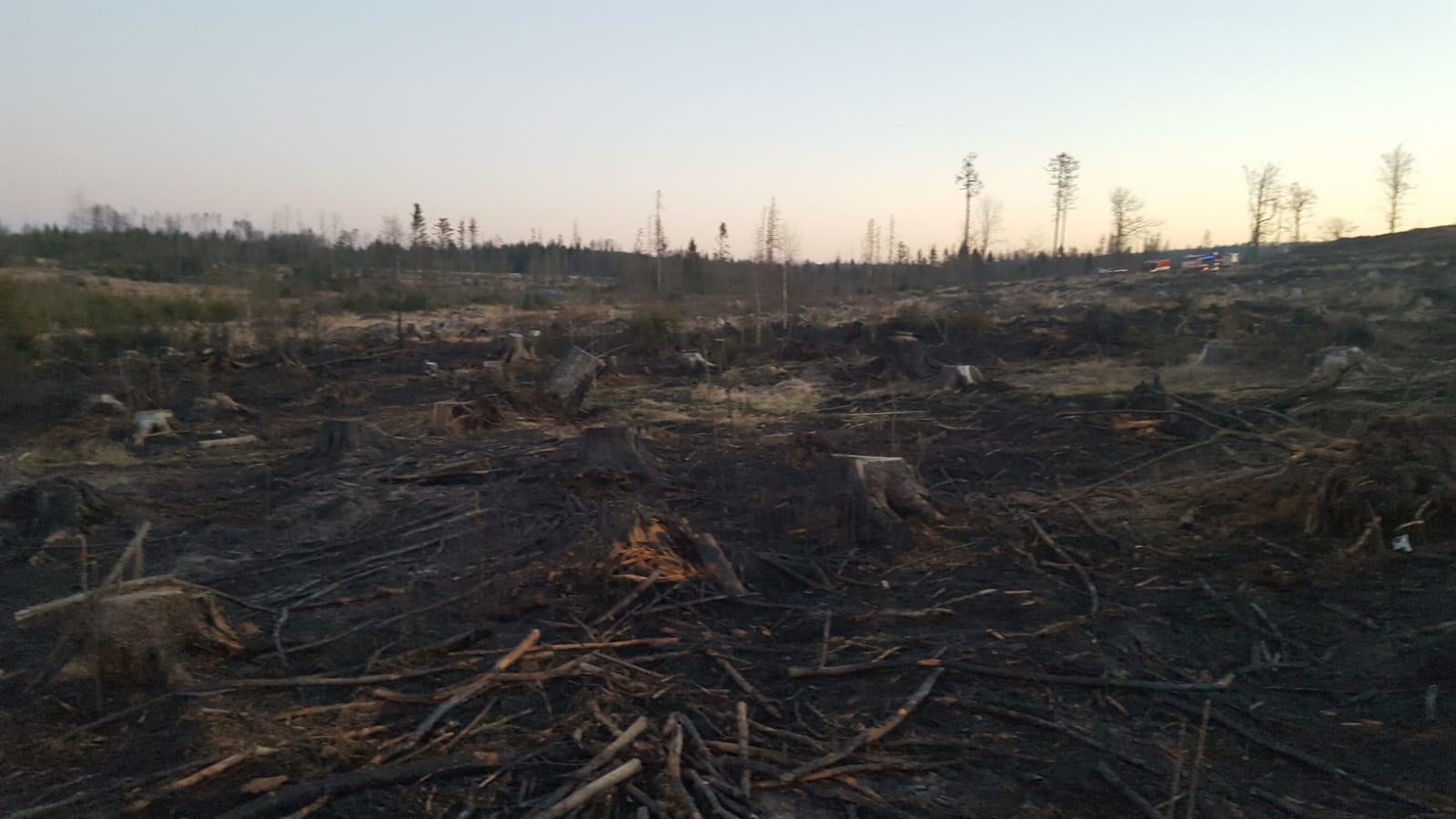 WhatsApp Image 2020-04-07 at 10.16.04.jpeg