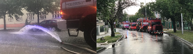 Obr. 3a a 3b. do textu.png