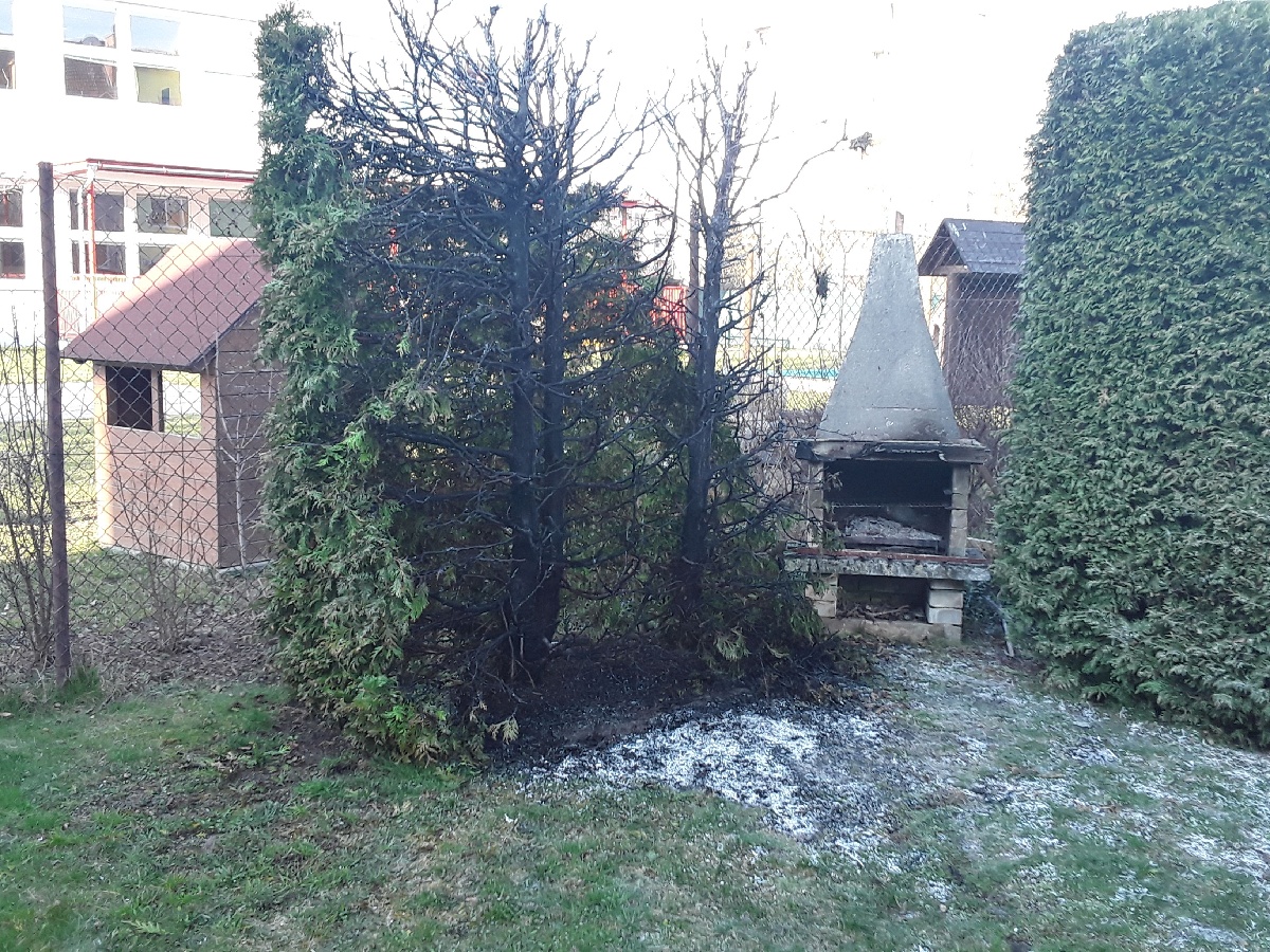 pozar_tuje_prostejov (1).jpg