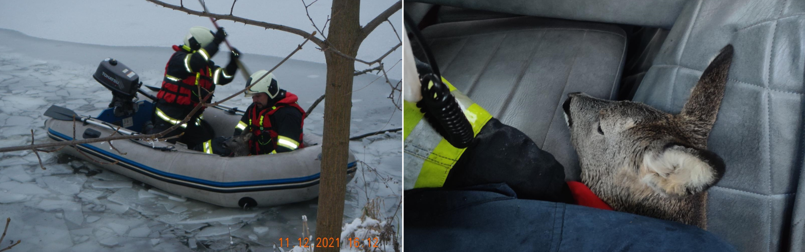 JČK_Záchrana srnky_do textu.png