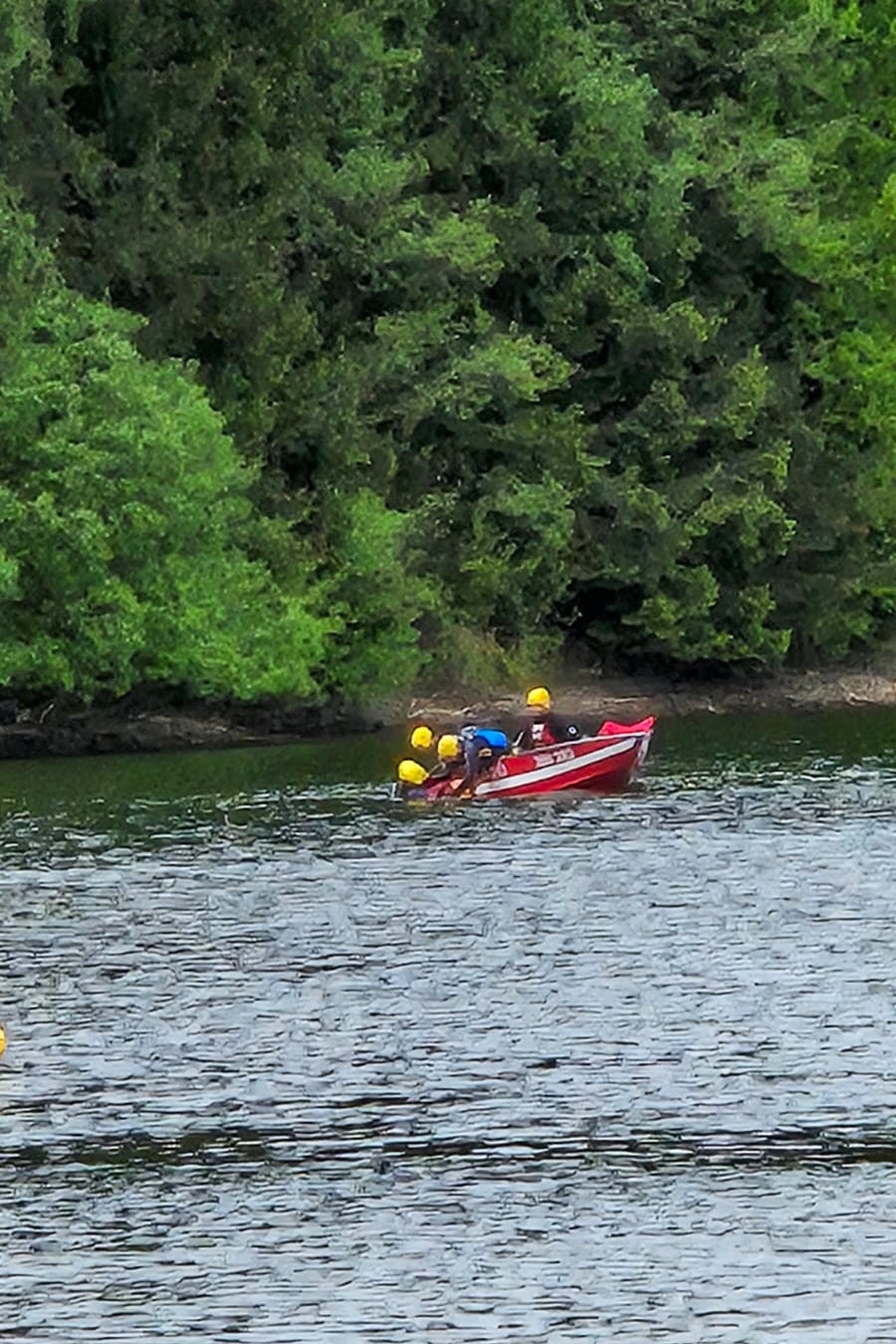 WhatsApp Image 2025-05-11 at 08.43.29.jpeg