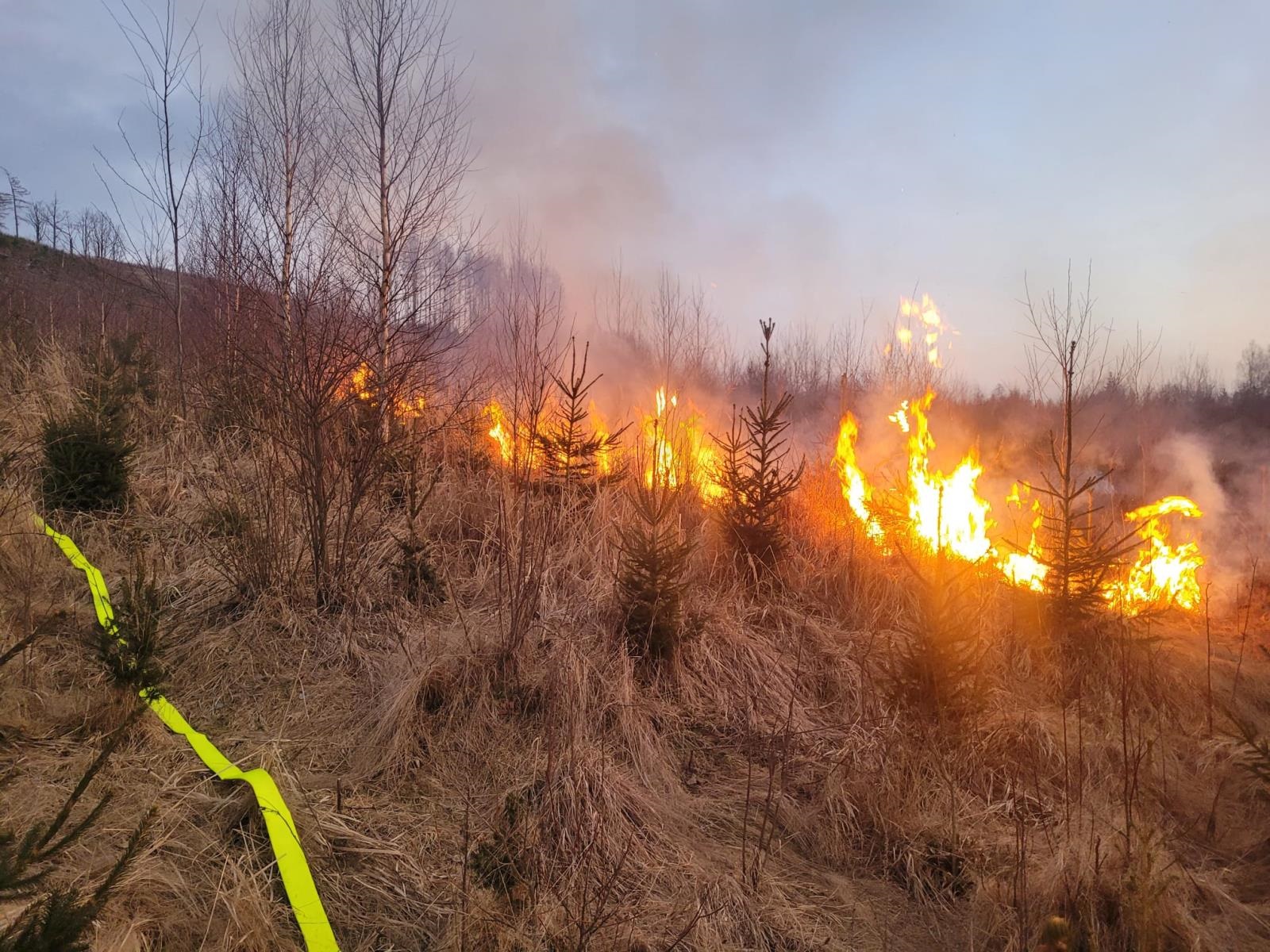 Požár lesa_Bruntálsko.jpg