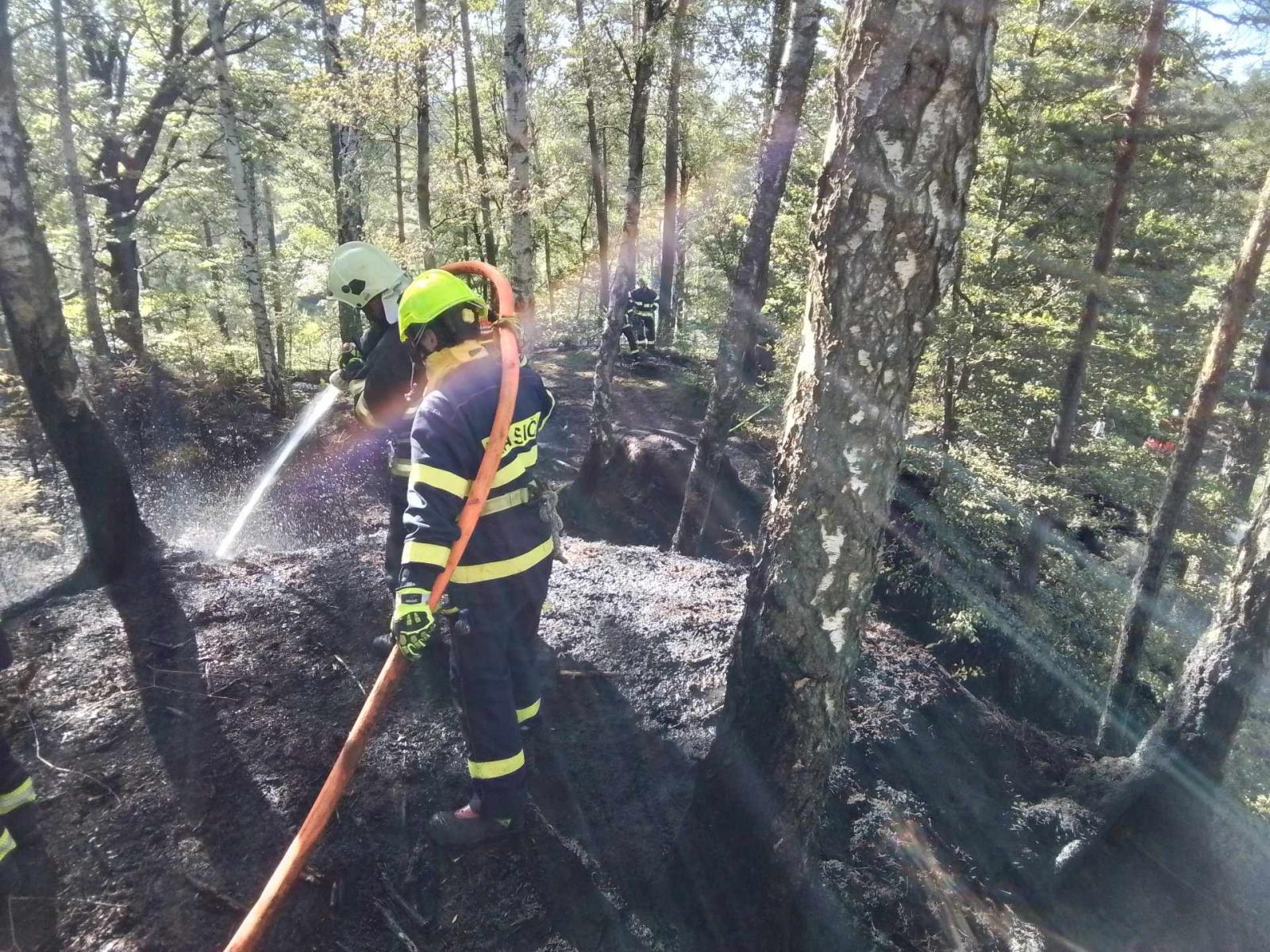 2025_06_30-P_DC_Jetřichovice (3).jpeg