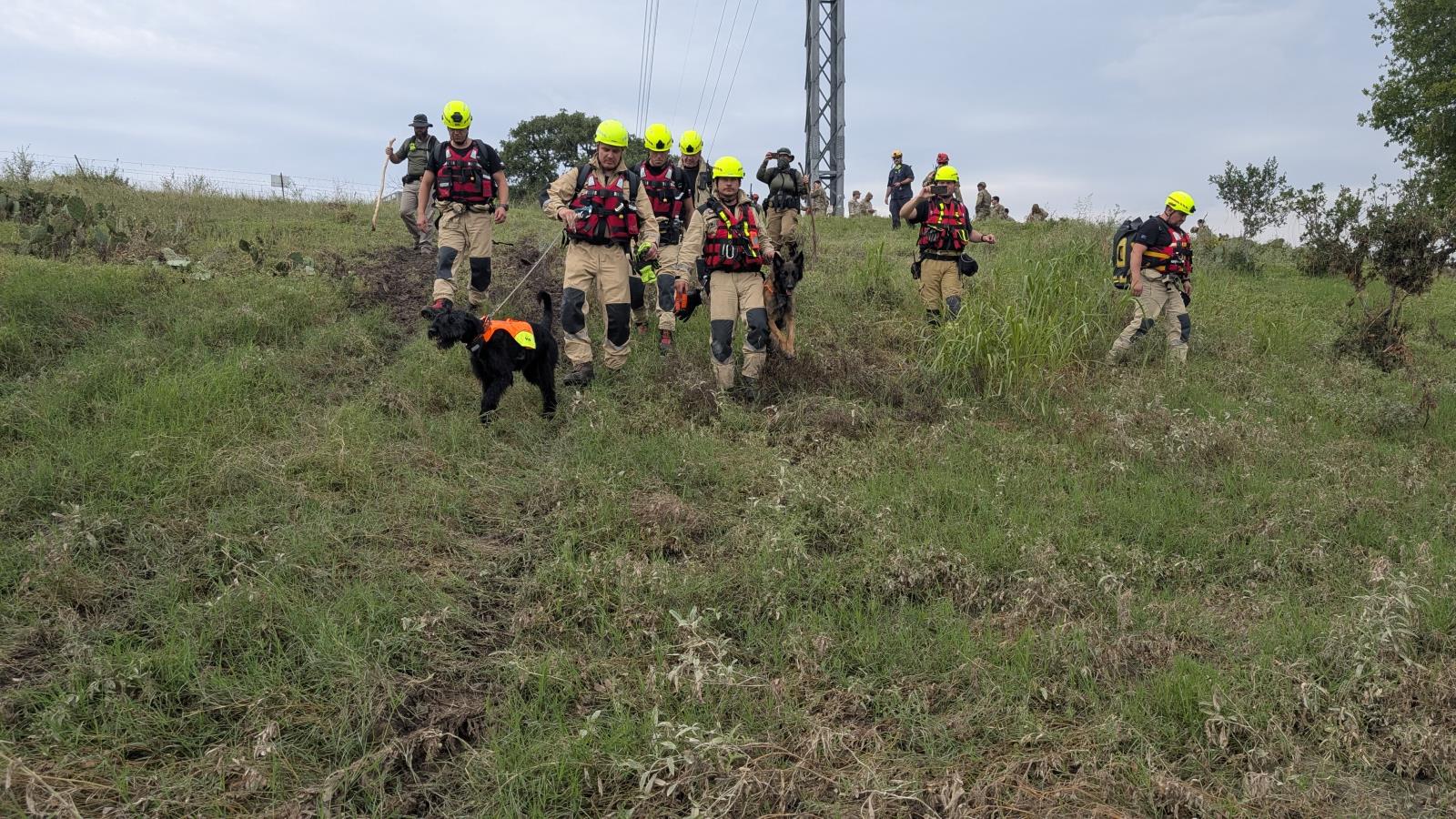 WhatsApp Image 2025-07-15 at 04.29.22.jpeg