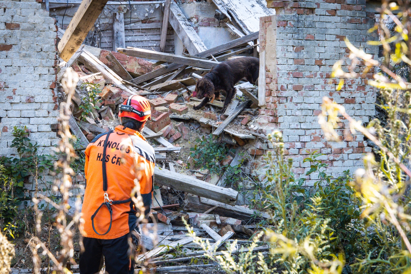 WhatsApp Image 2025-09-11 at 13.15.17 (2).jpeg