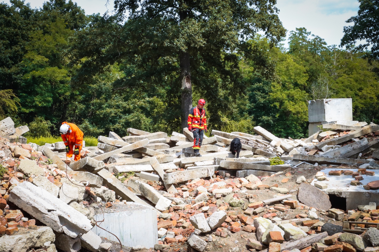 WhatsApp Image 2025-09-11 at 13.15.17 (1).jpeg