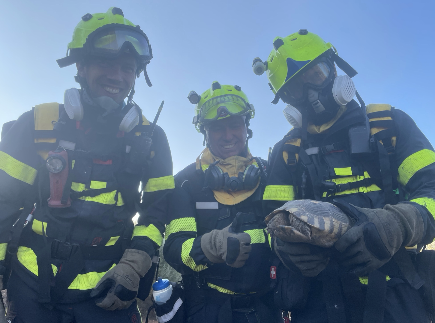 Screenshot 2025-09-20 at 16.53.50.png